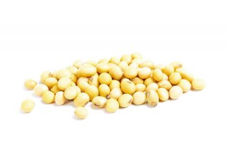 选购大豆浓缩蛋白 就来猫咖饮料_生产高精的大豆浓缩蛋白